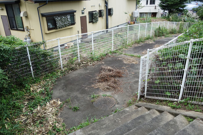 坂