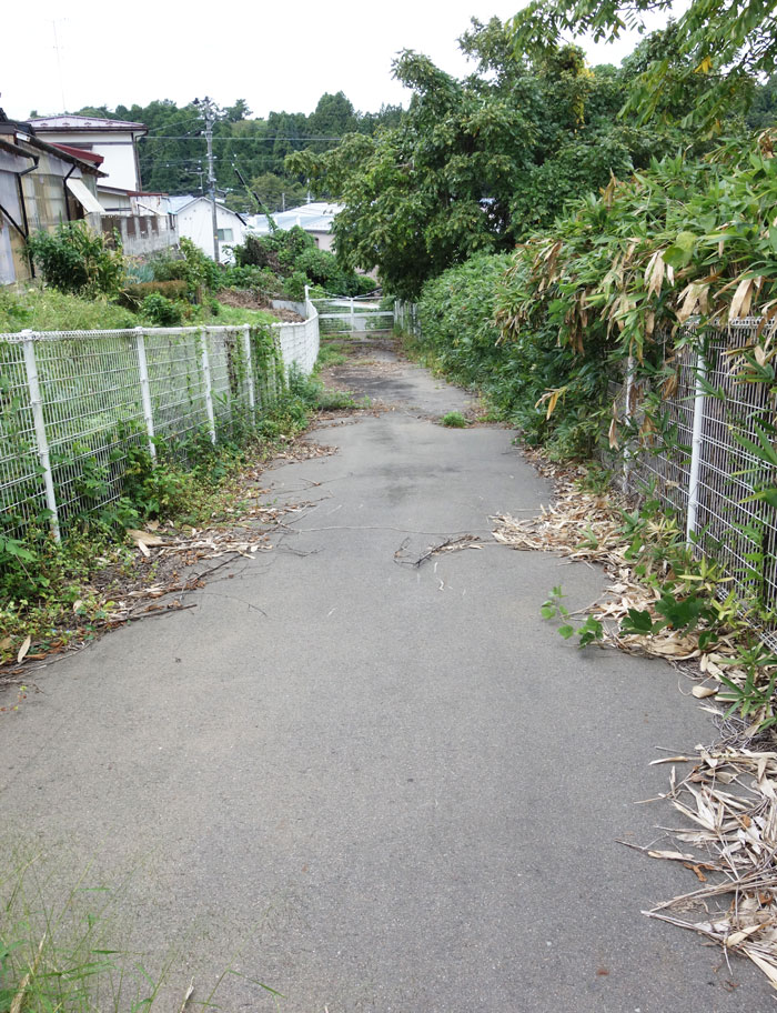 見通し
