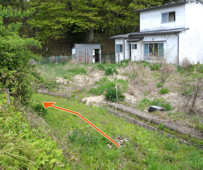 痕跡2