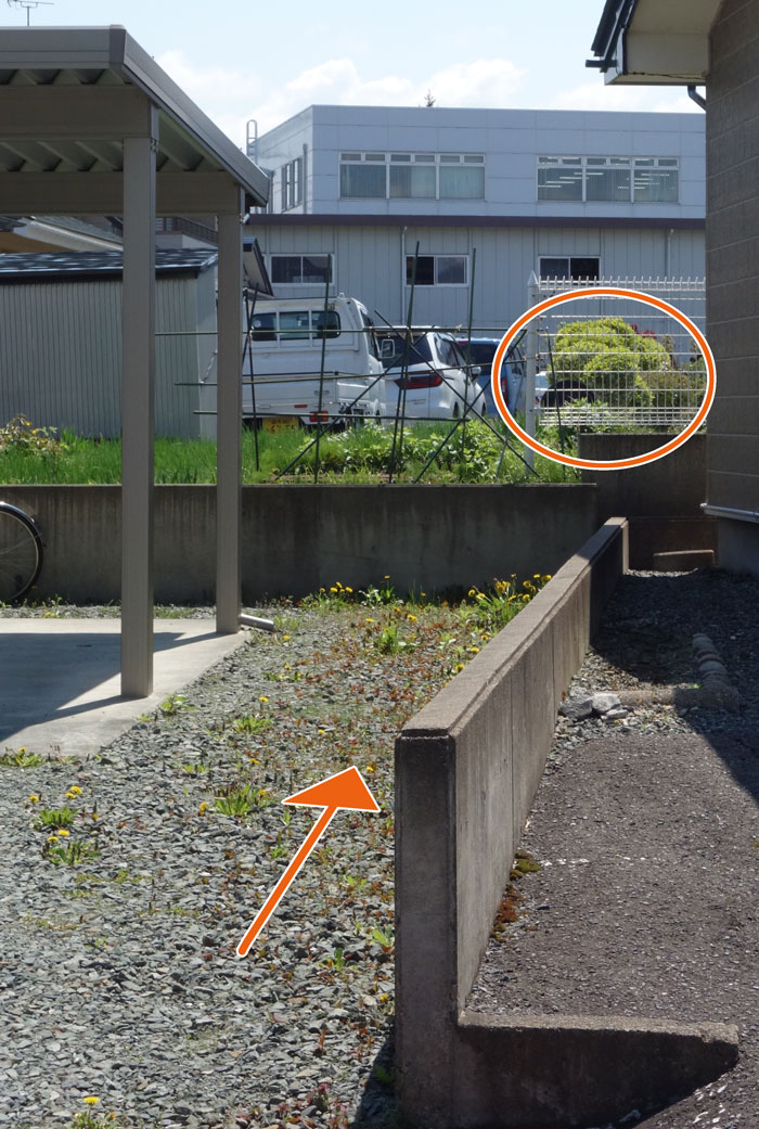 裏の民家