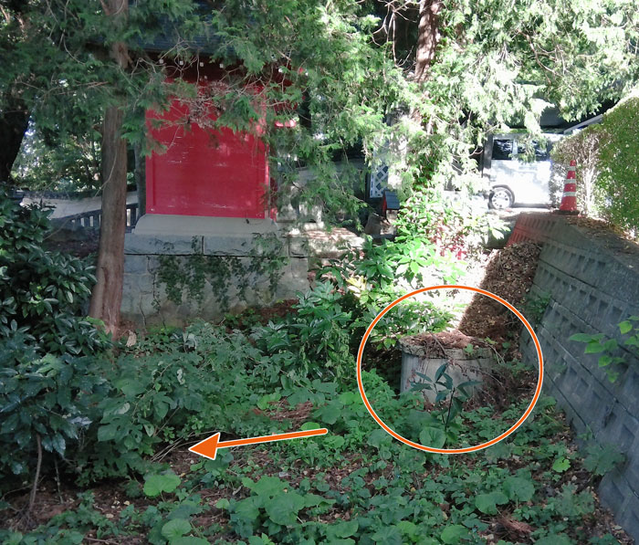 神社裏