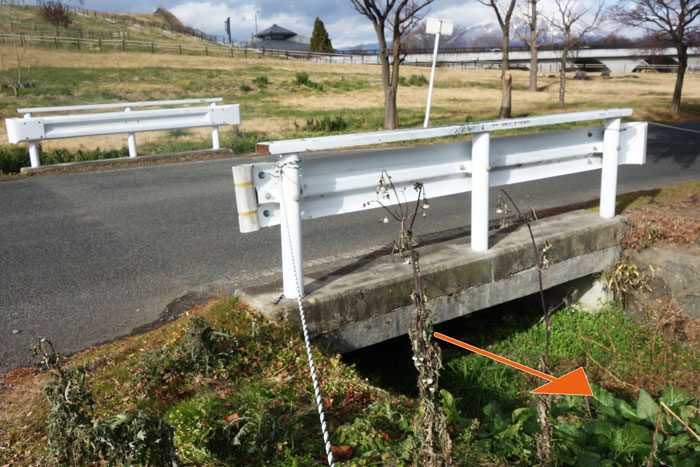 中央公園前の橋2