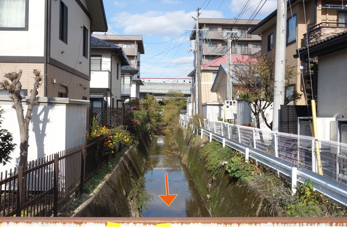 橋の上流側、秋田新幹線こまち