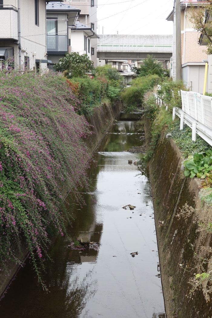 橋の上流側4年前