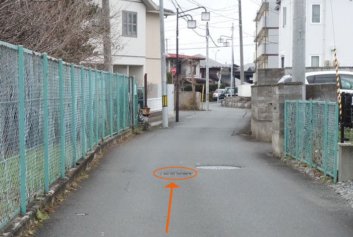 医大裏の道