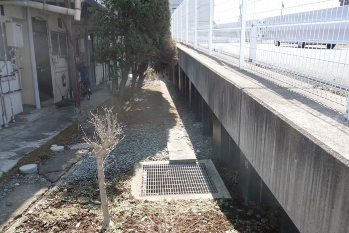 道路際水路跡