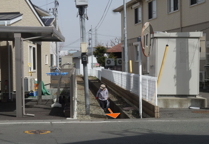 掃除してる方