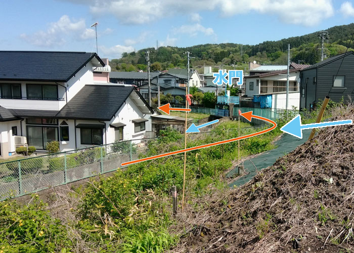 分岐2