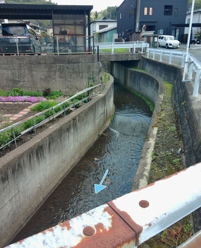 橋2
