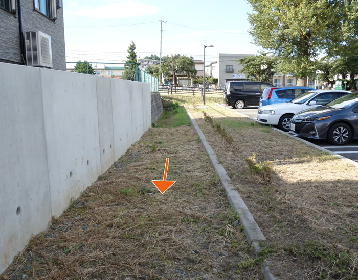 高松公園駐車場2