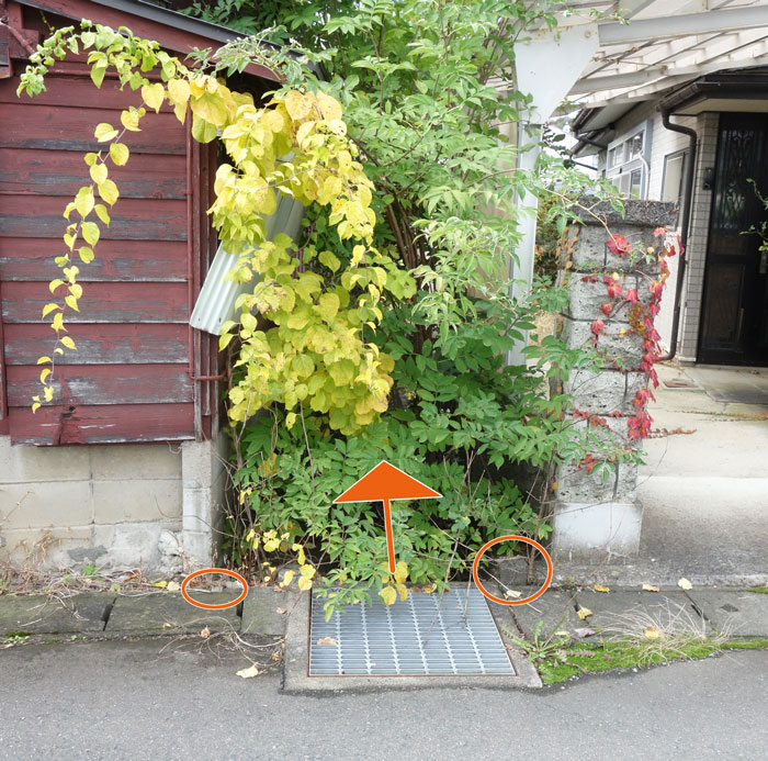 道路向かい側