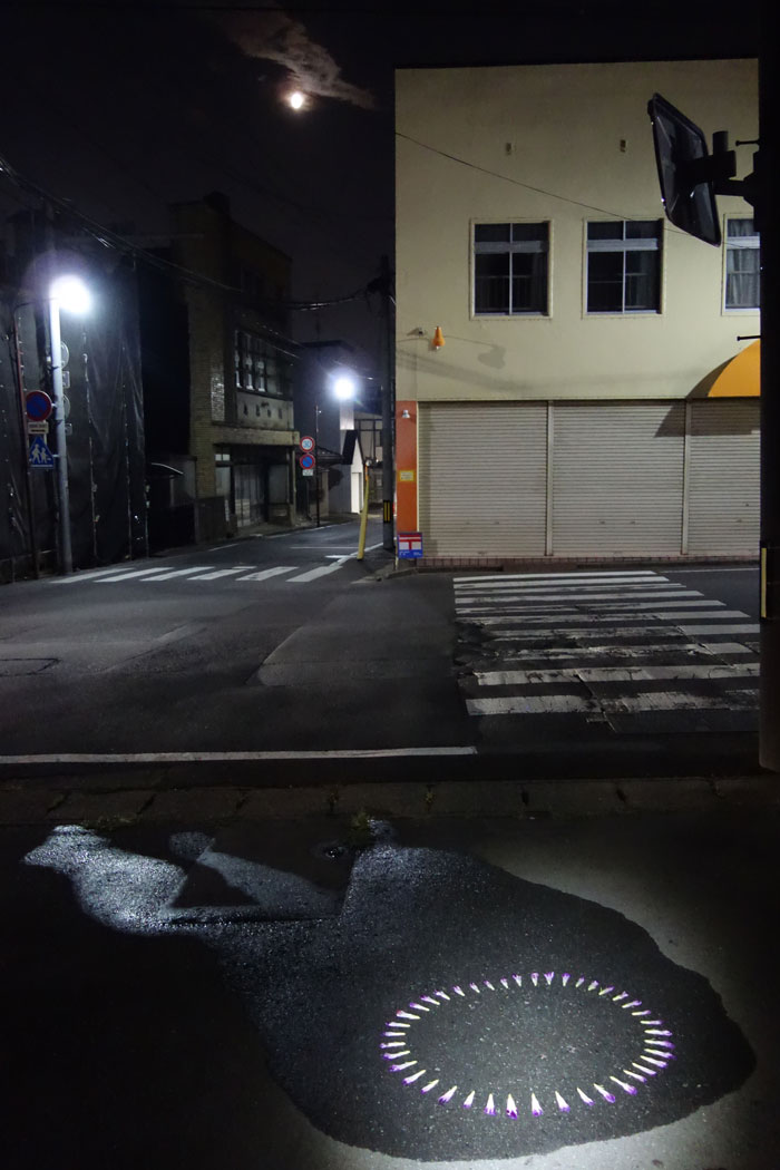 朝顔を並べてみた20250804